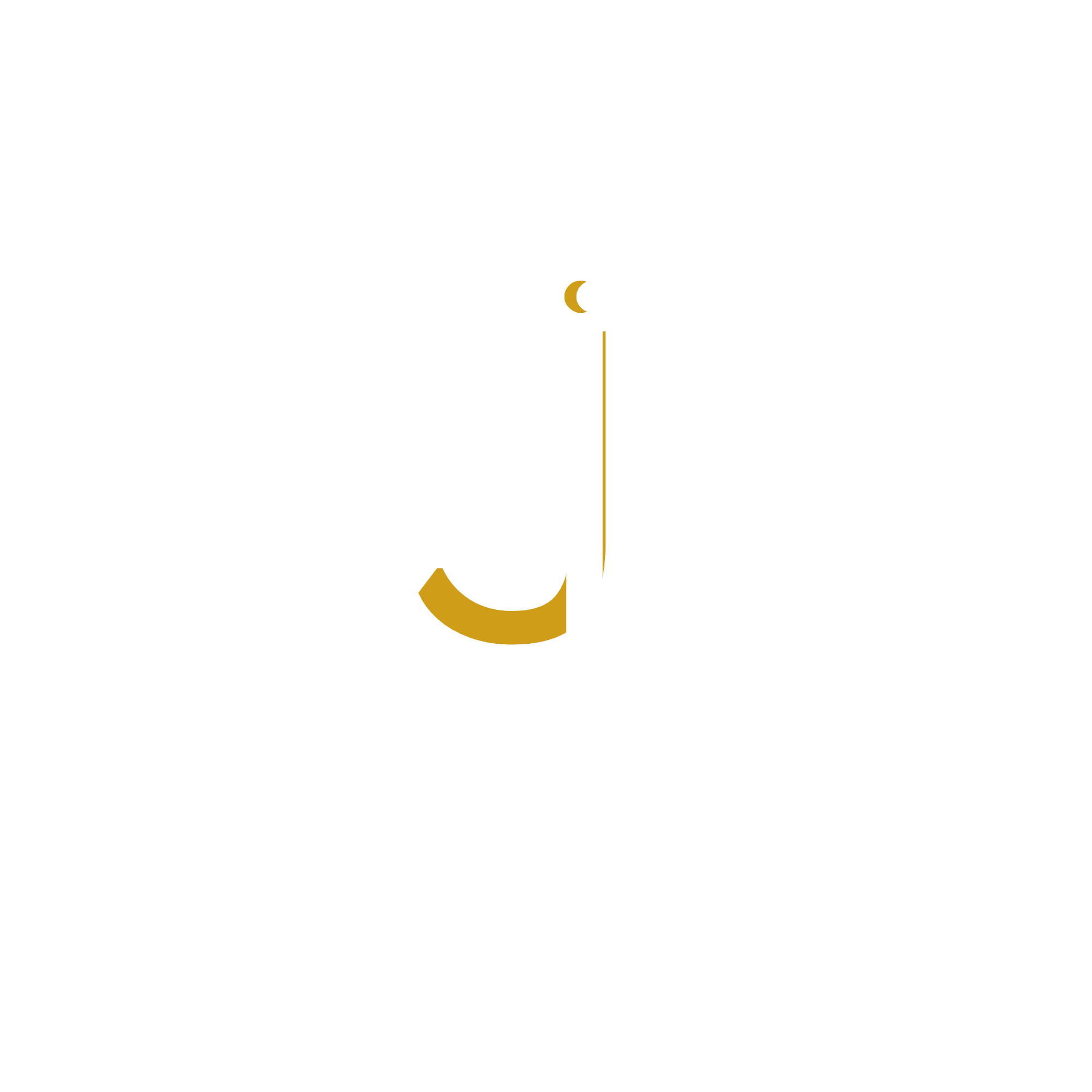 Jessica Ingrid EU AI Act Consultant, IP & Contract Lawyer